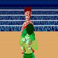 Iron Mikes Punch Out Game